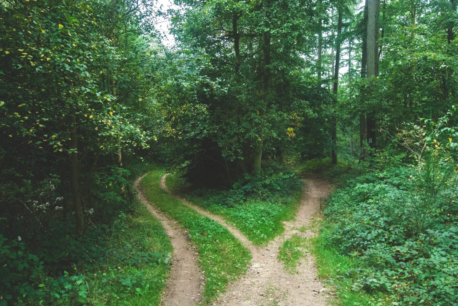 Ernest Mag Chemins Traverse