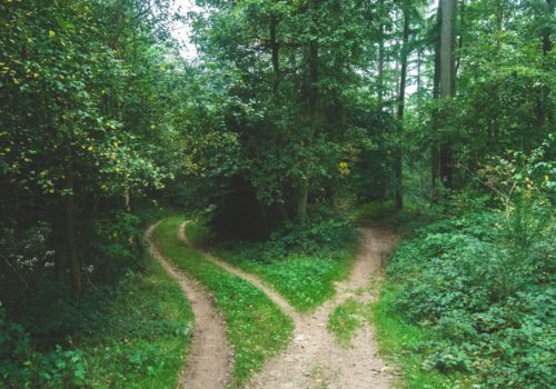 Ernest Mag Chemins Traverse