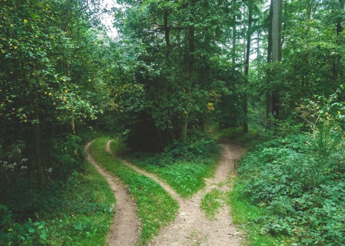 Ernest Mag Chemins Traverse