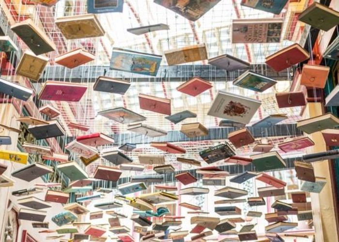 Ernest Mag Liste Les Livres Les Plus Attendus De La Rentree Littera 3465