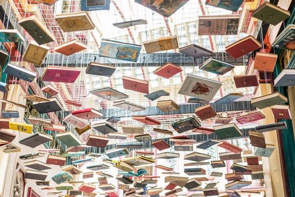 Ernest Mag Liste Les Livres Les Plus Attendus De La Rentree Littera 3465