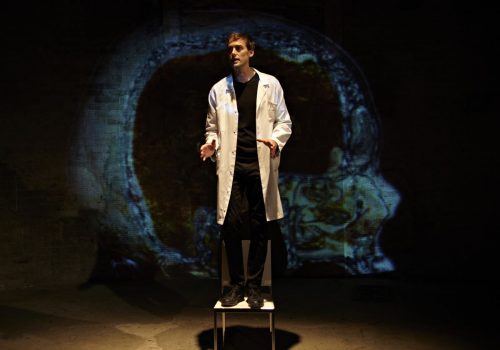 Reparer Les Vivants Maylis De Kerangal Emmanuel Noblet Les Theatres