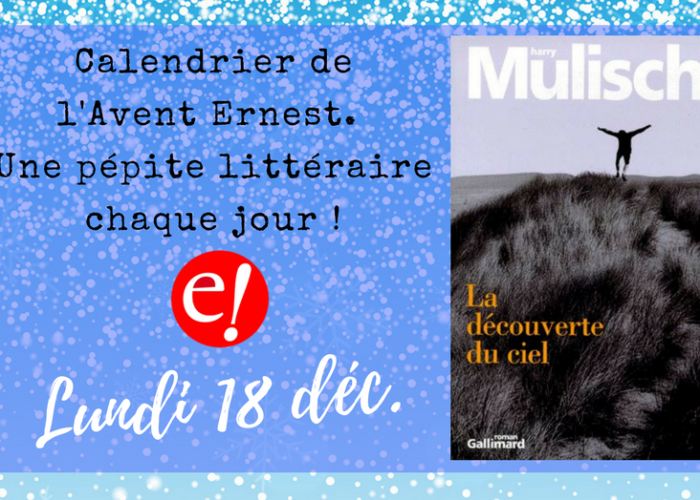 Decouverteduciel 18 Mulisch Ernest