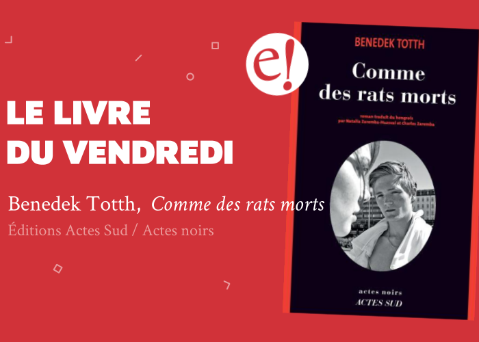 Ernest Mag Comme Des Rats