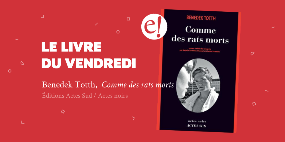 Ernest Mag Comme Des Rats