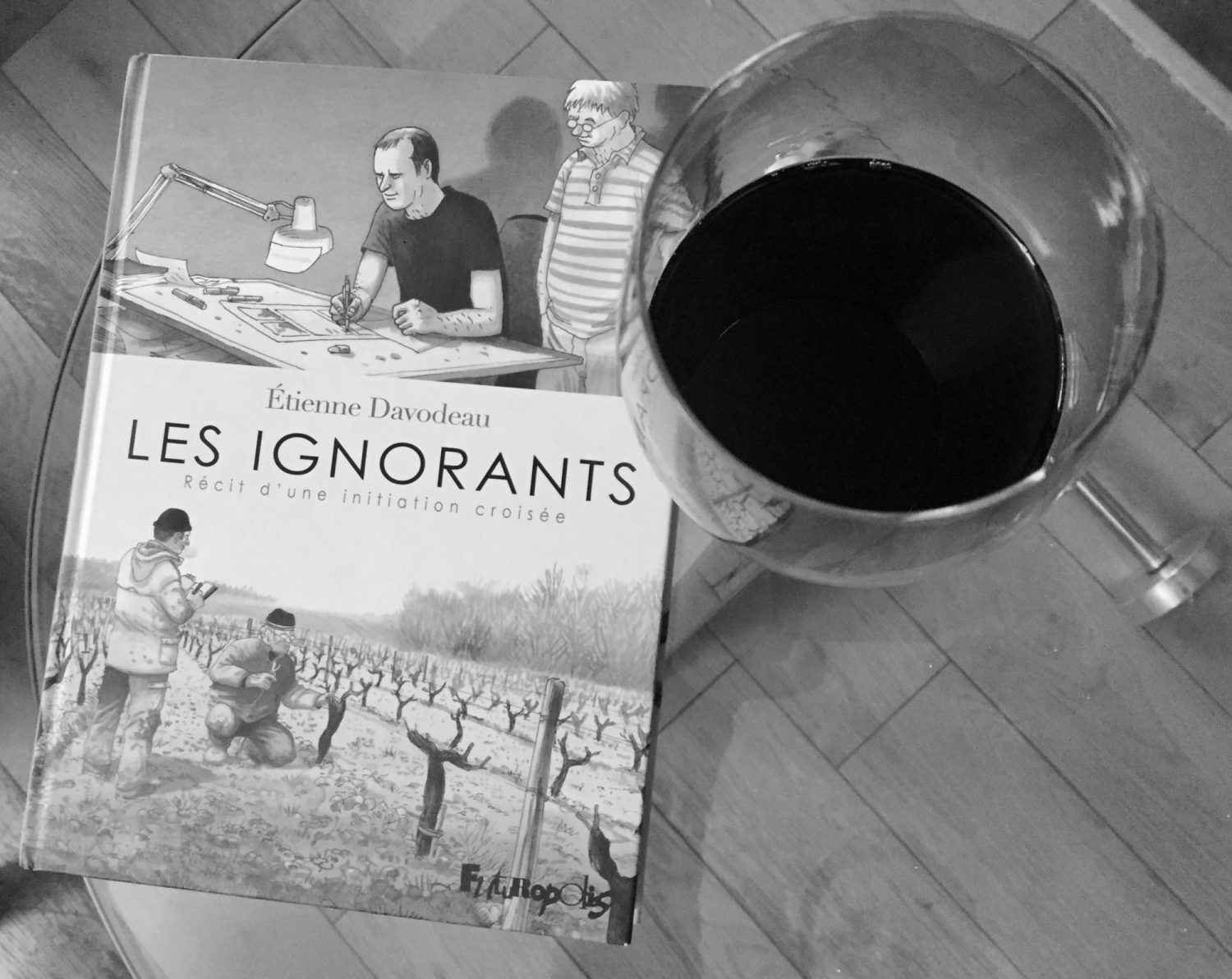 Ernest-Mag-Davodeau-Ignorants