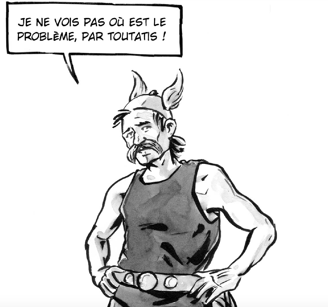 Ernest Mag Par Toutatis BD