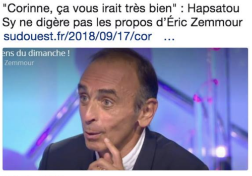 Ernest Zemmour Ineptie