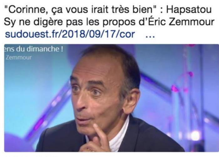Ernest Zemmour Ineptie
