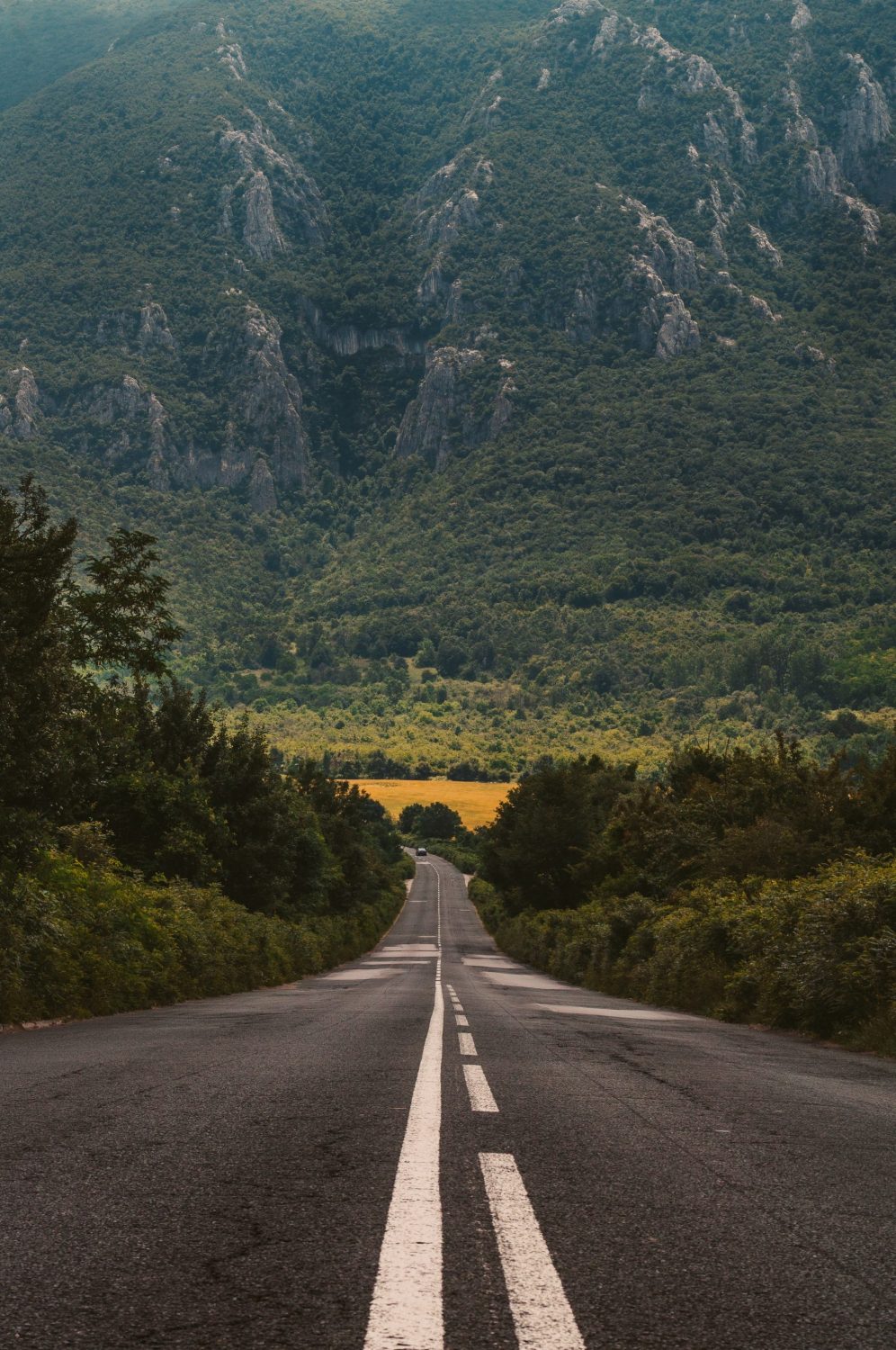 Evgeni Evgeniev 710160 Unsplash