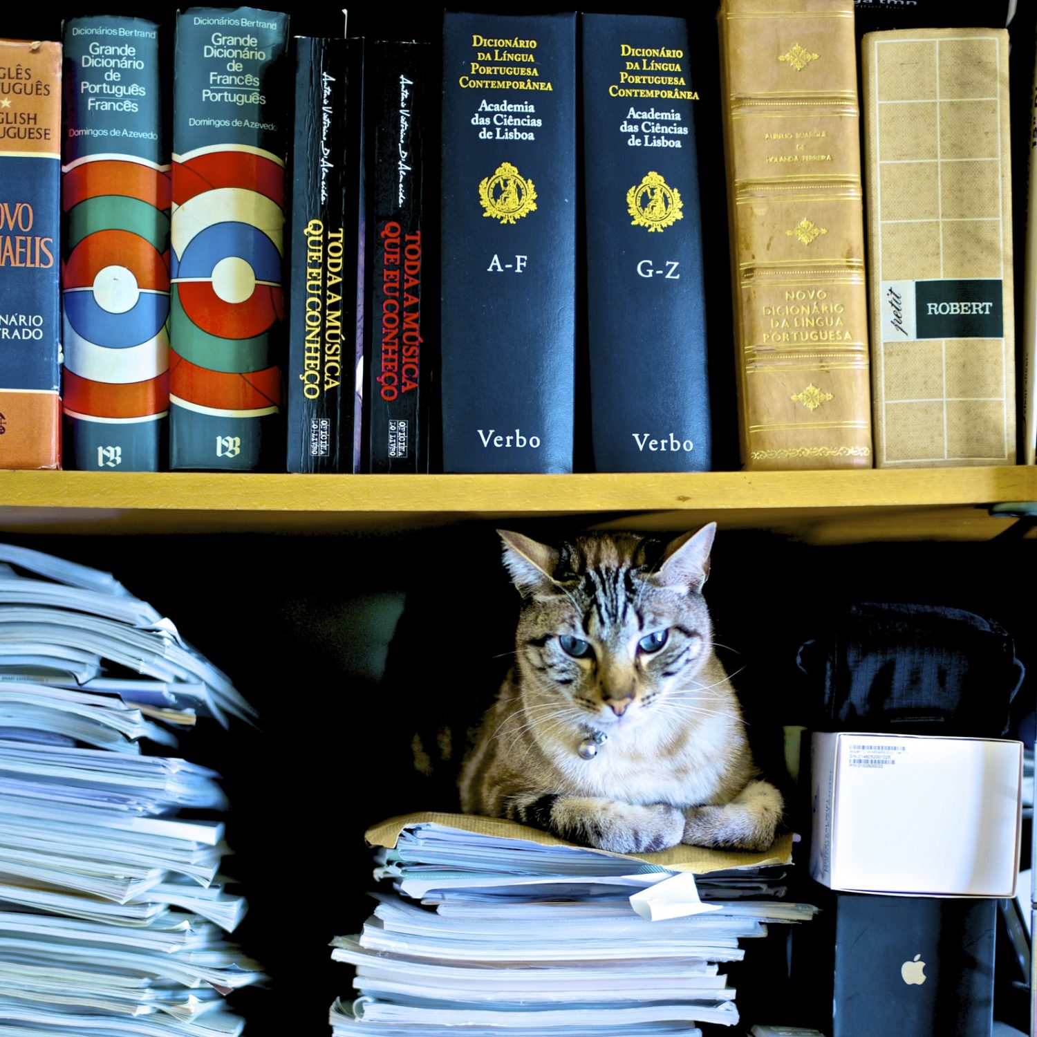 Cat Book