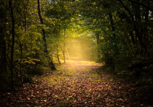 Chemin