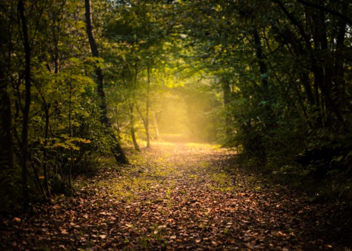 Chemin