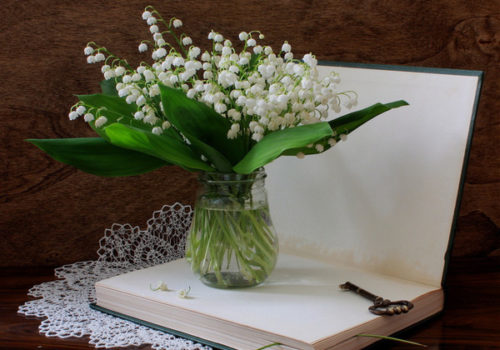 1ermai