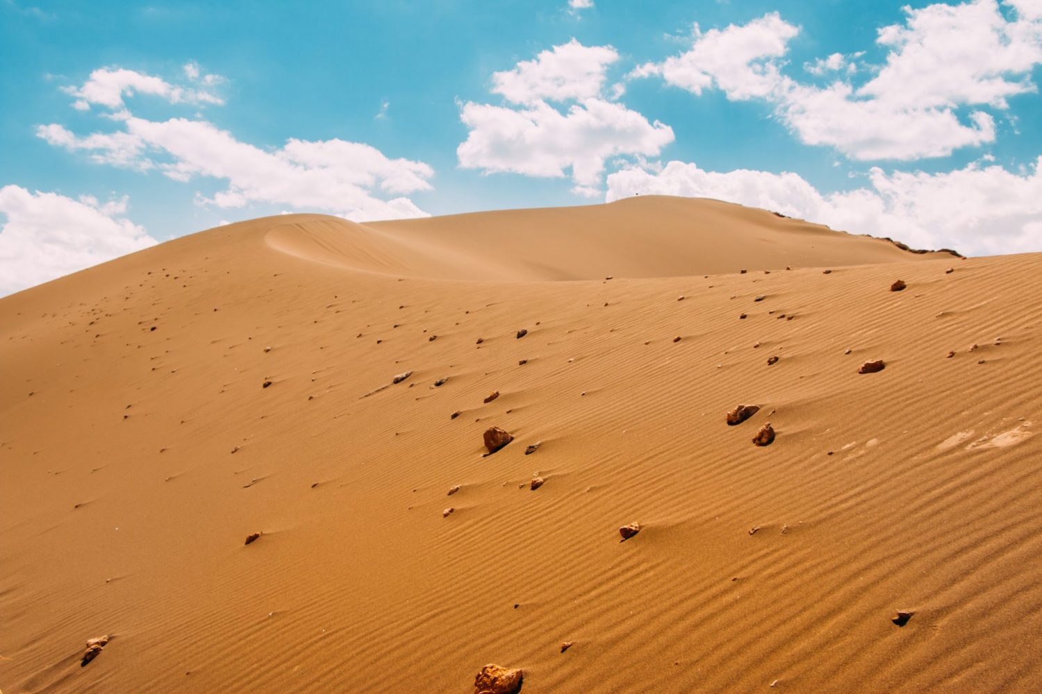 Diego Jimenez DV1mP1 H9GU Unsplash