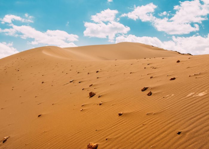 Diego Jimenez DV1mP1 H9GU Unsplash