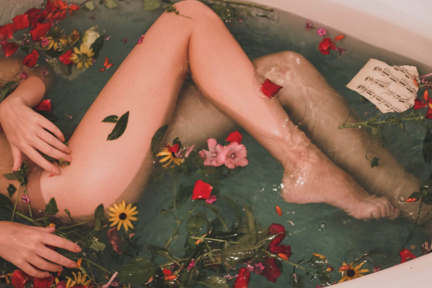 Hanna Postova Oha7AANDiL8 Unsplash
