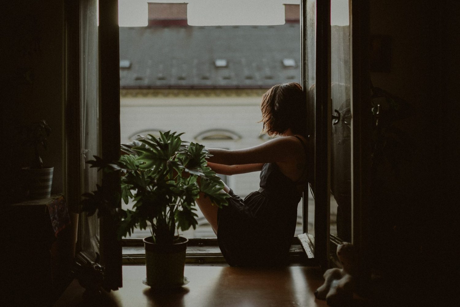 Kinga Cichewicz WENTRcpFYM8 Unsplash