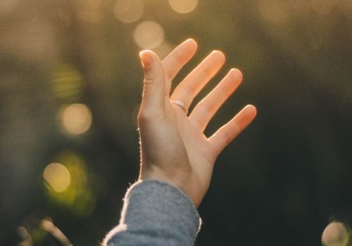 Dev VoIzq8LEdlo Unsplash