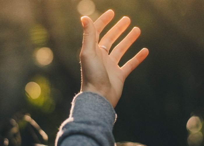Dev VoIzq8LEdlo Unsplash