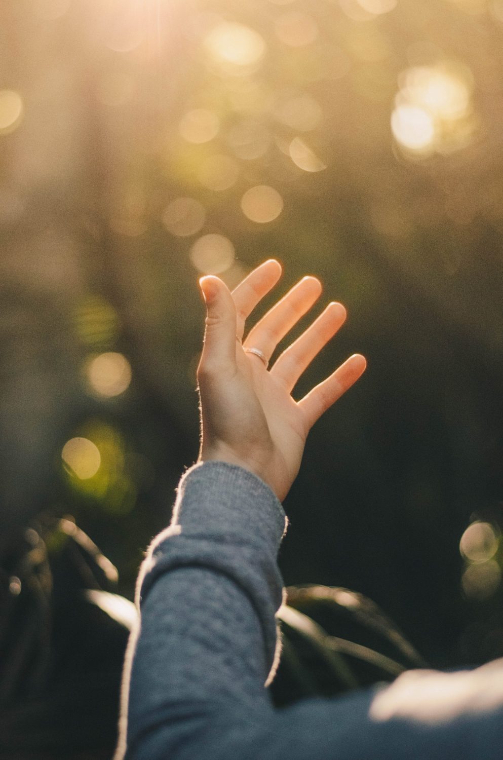 Dev VoIzq8LEdlo Unsplash