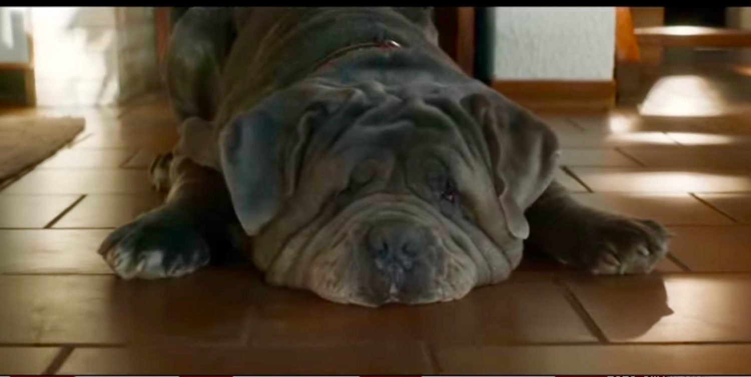 Ernest Mag Chien Covid
