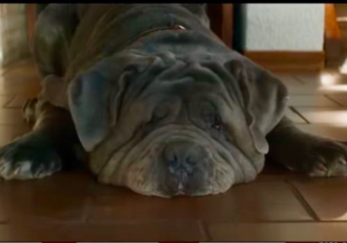 Ernest Mag Chien Covid