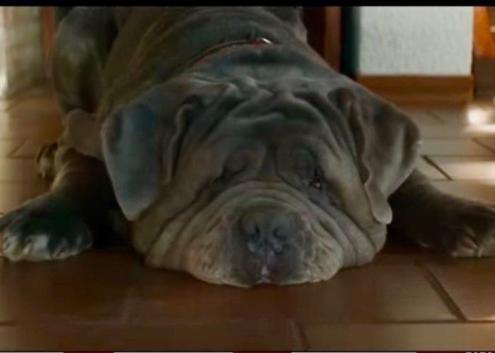 Ernest Mag Chien Covid