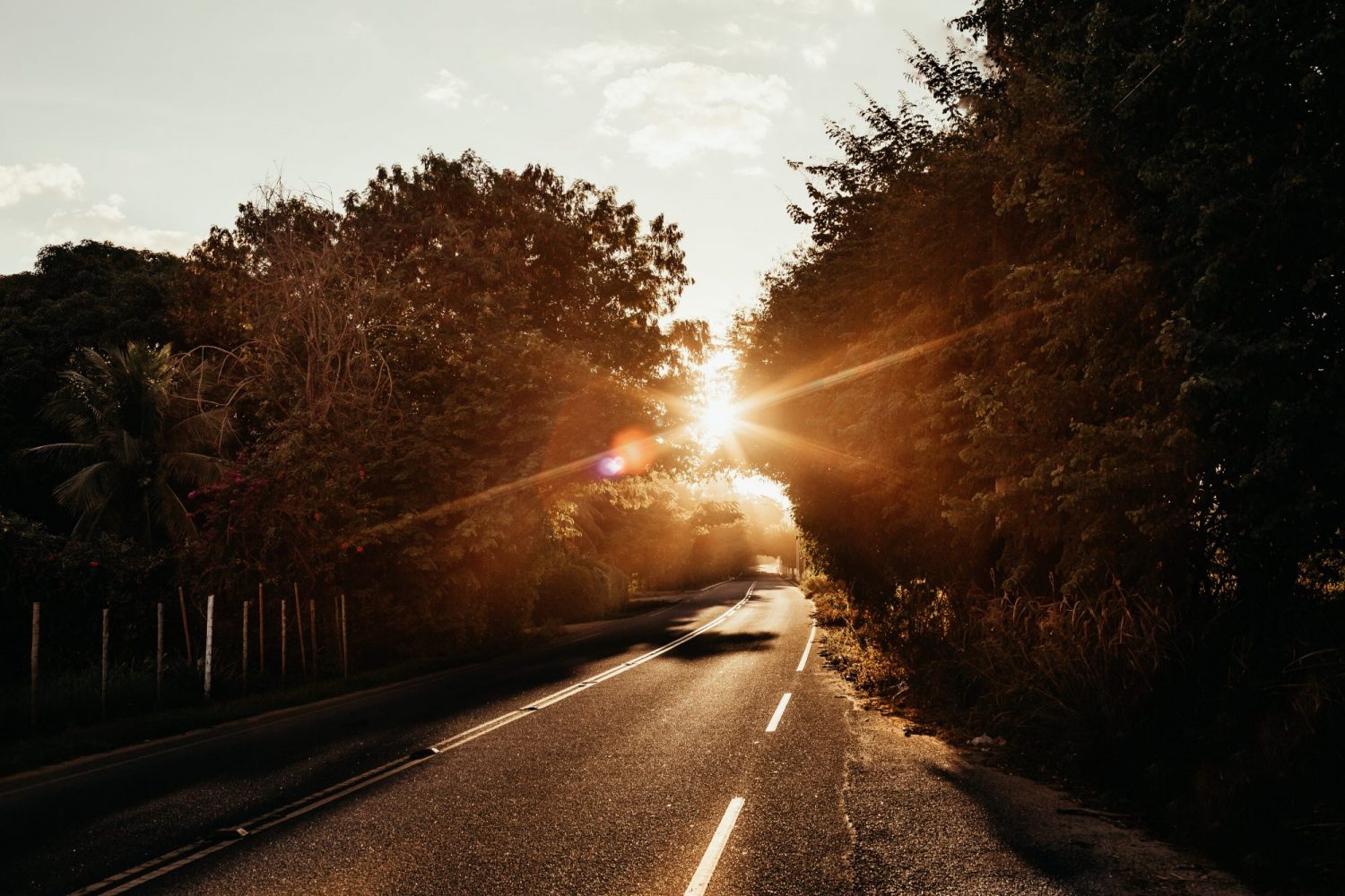 Jonathan Borba WSnc0gccO34 Unsplash(1)
