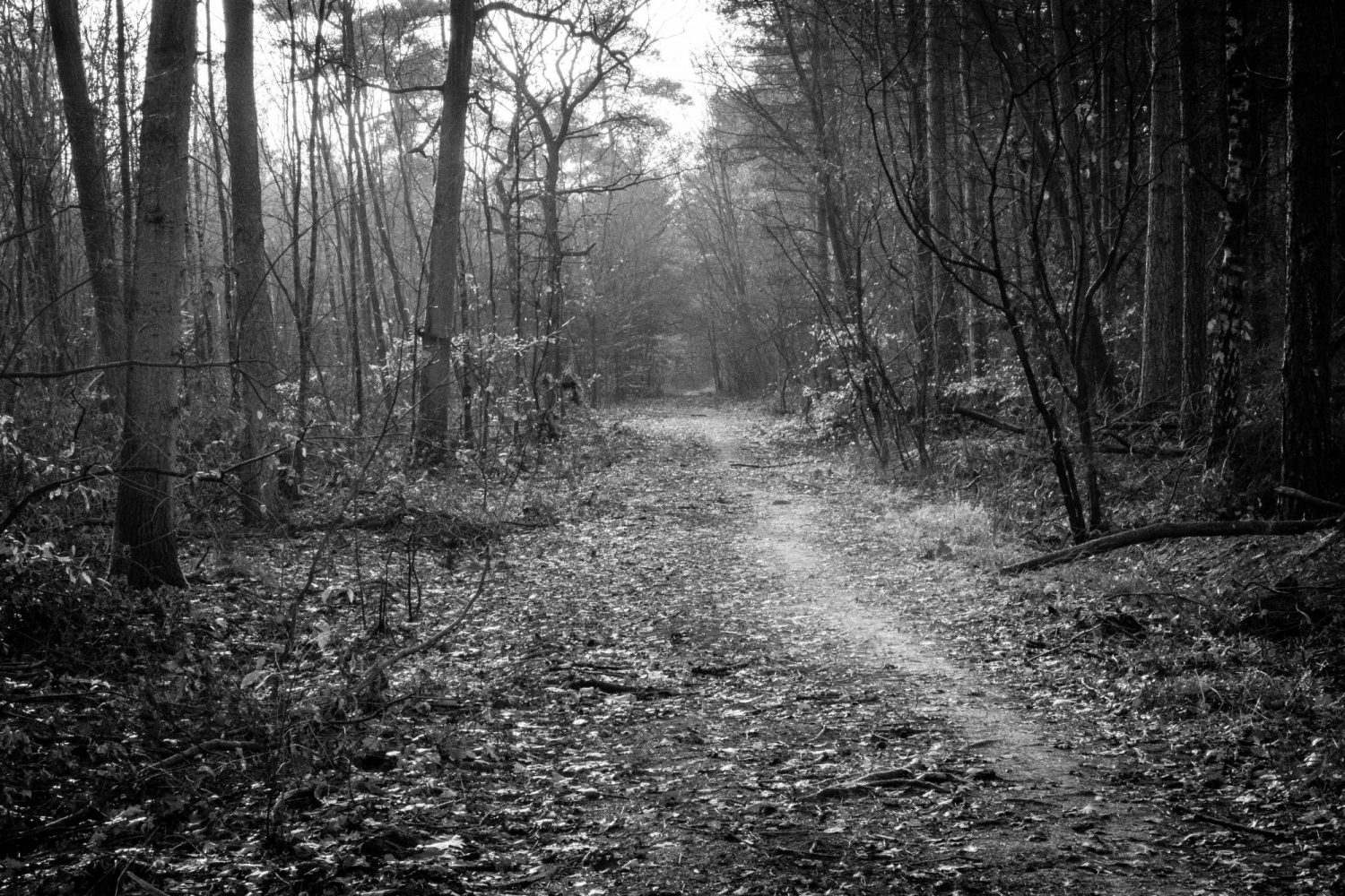 Peter Hall U4HgoD5mc50 Unsplash