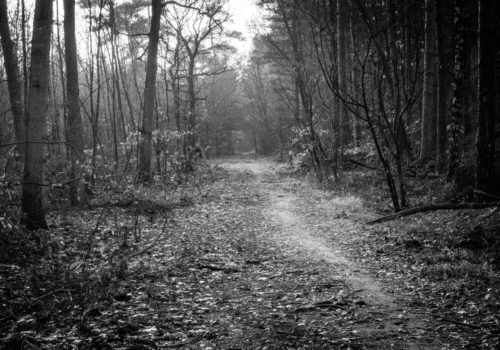 Peter Hall U4HgoD5mc50 Unsplash