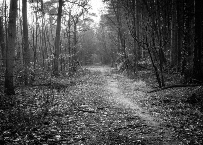 Peter Hall U4HgoD5mc50 Unsplash