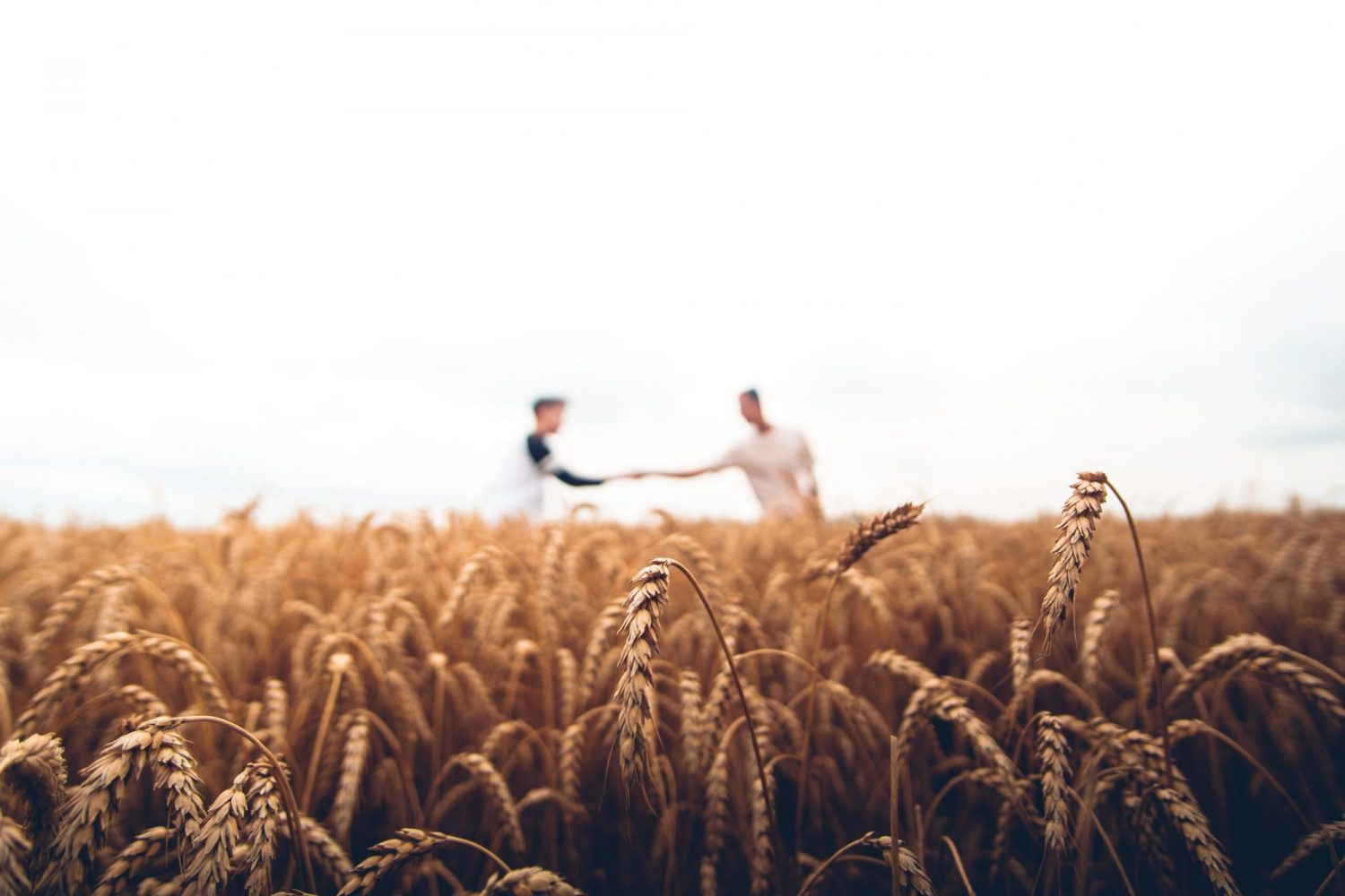Warren Wong J33qmCVr02A Unsplash