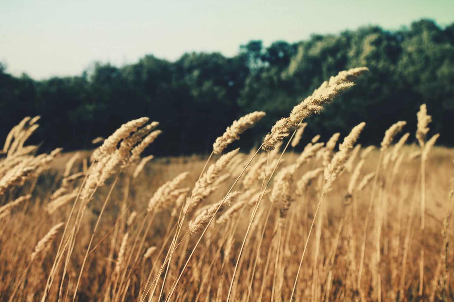 Zugr KmF Aq8gkp0 Unsplash