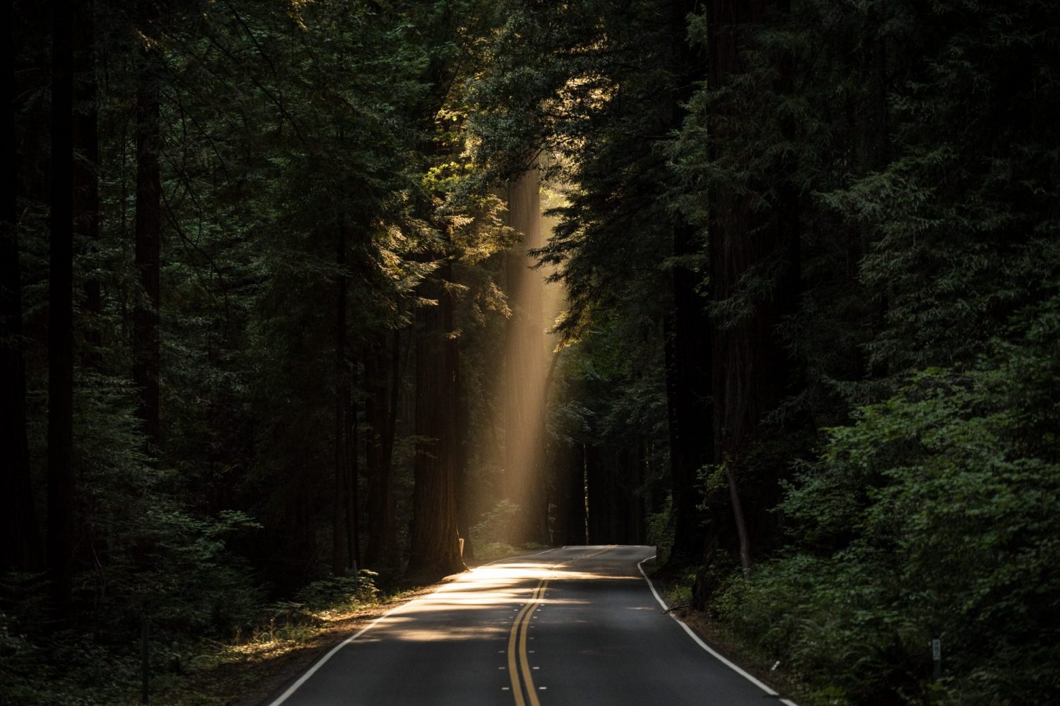 John Towner 3Kv48NS4WUU Unsplash