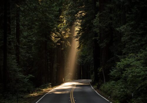John Towner 3Kv48NS4WUU Unsplash