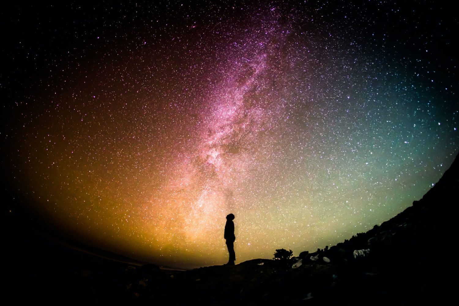 Greg Rakozy OMpAz DN 9I Unsplash