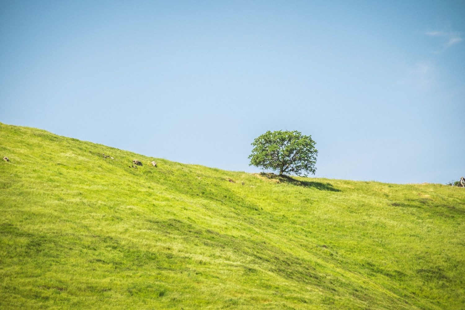 Troy Williams CX4TlF3l U8 Unsplash