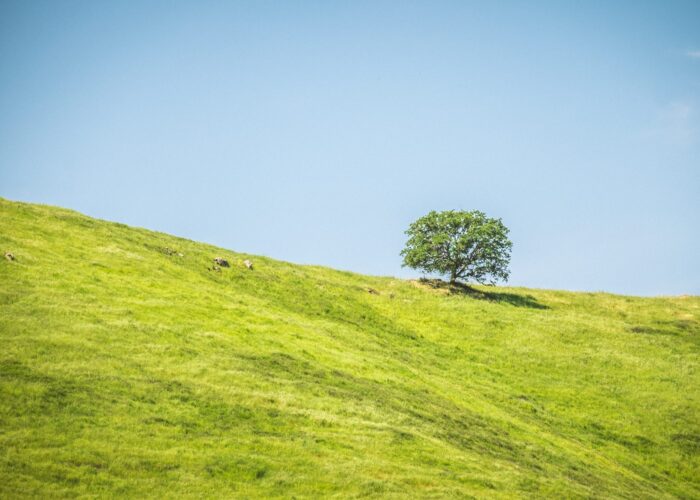 Troy Williams CX4TlF3l U8 Unsplash